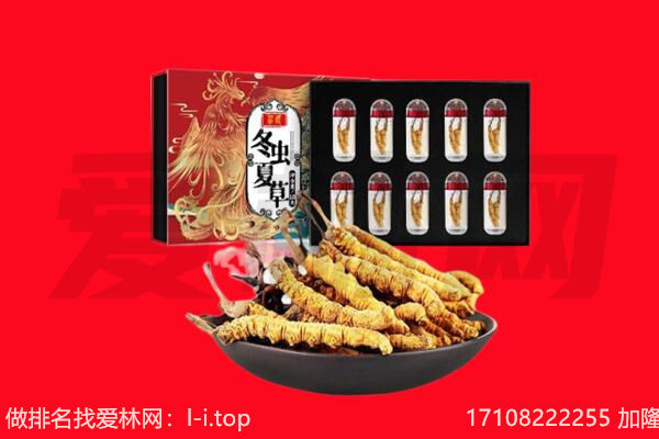 祁连县回收虫草.jpg